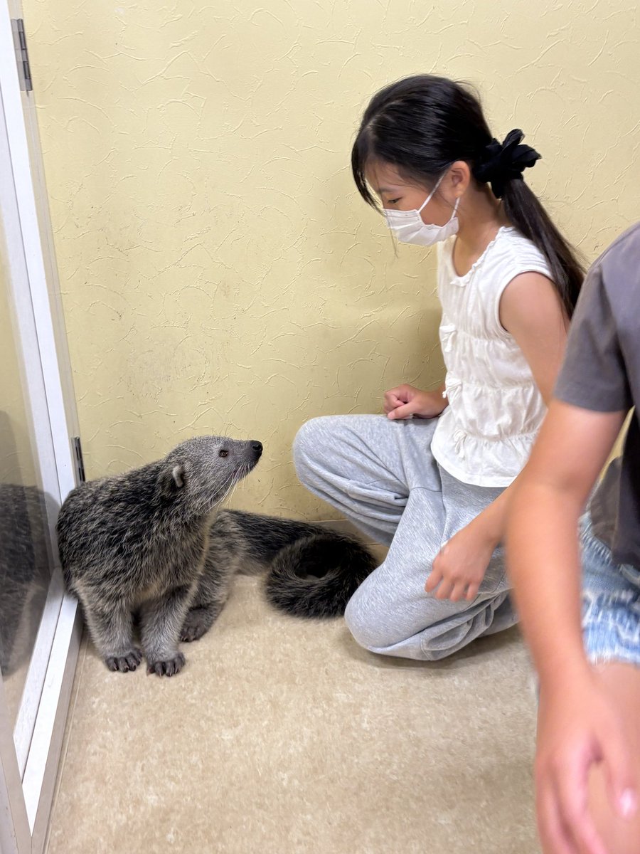 Raimu_Vega's tweet photo. 今日は動物さんを触りに行きました💗
可愛すぎた！
カピバラ、ビントロング？、ワオキツネザル🦥と写真撮ったよ📷
また行きたーい♪ https://t.co/4H8xwuoFUM