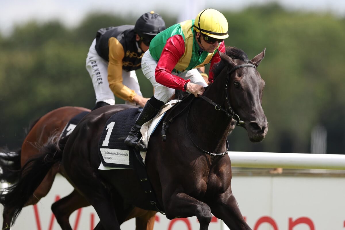 Novellister ドイツ競馬情報室 tweet media