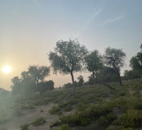 km20154's tweet photo. @a3sso لعل في الاقدار التي تحزننا خيرآ نجهله ..
مساء الخير والعطاء ..🌿💐 https://t.co/9PnAsWplSP