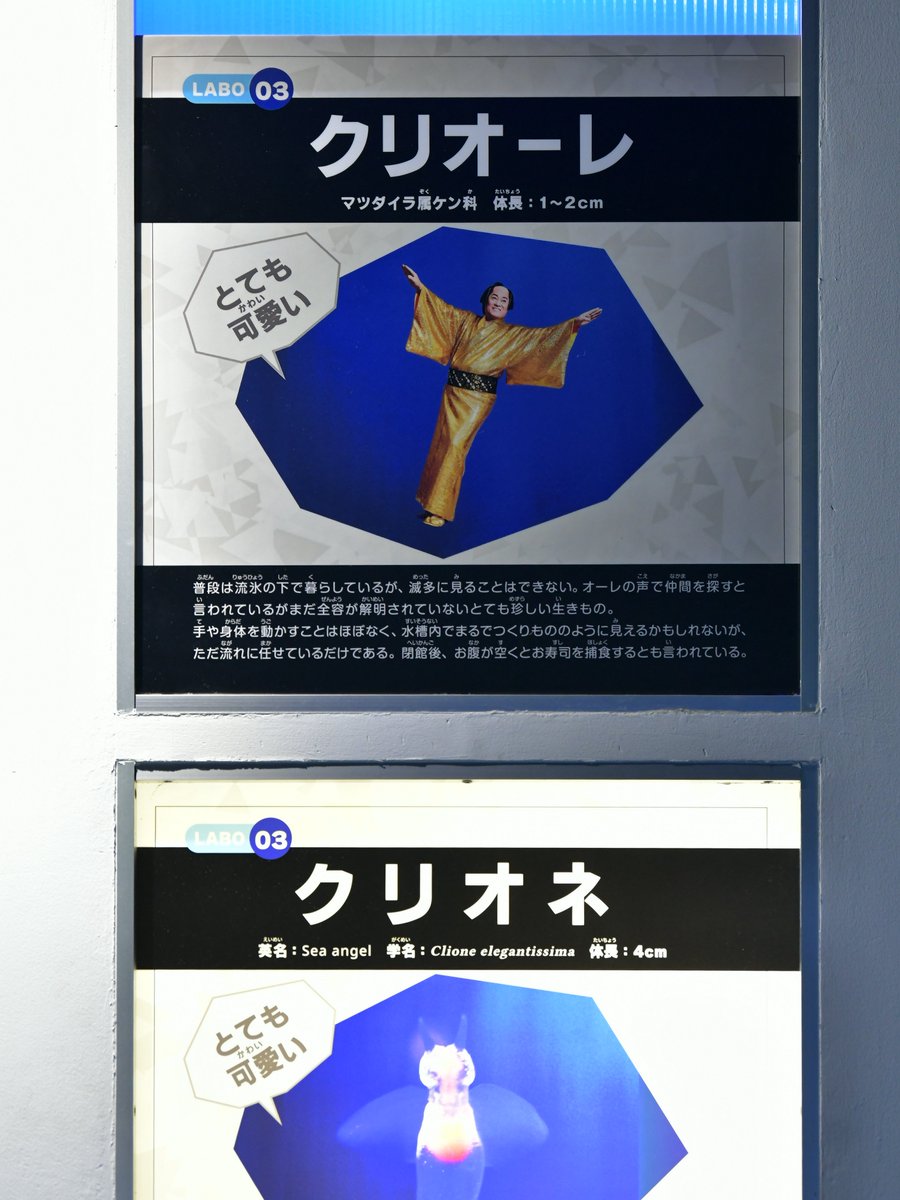 なたりっぷ tweet media