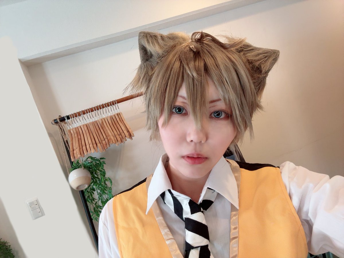 にぽんしゅ⚡️ tweet media