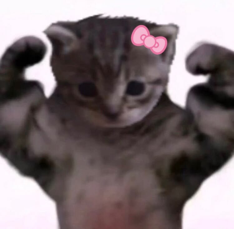 feelsowhale's tweet photo. kyungsoo the strongest meow https://t.co/kh8yaTTZD7