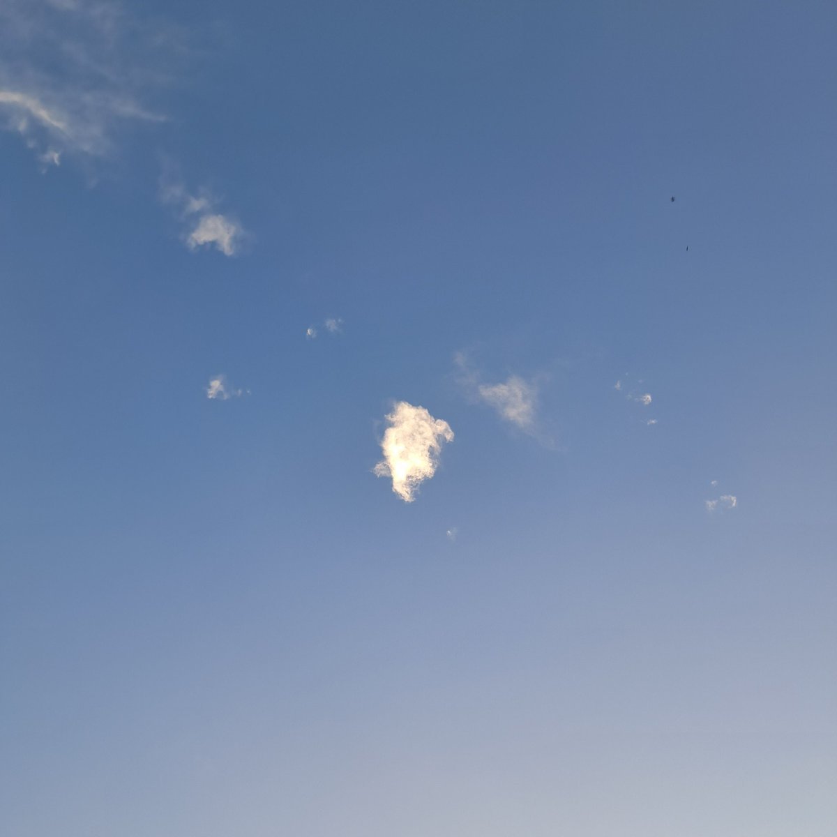 au_0304's tweet photo. @charao_bancyo 
番長。今日はいい一日でしたか。
楽しい空たち。空が綺麗なだけで生きている価値を感じるぐらい、空が大好きです。紛れもなく福富？さんのおかげ。
いい夢見てください。おやちゃらです。屁 https://t.co/NRBxuut7fj