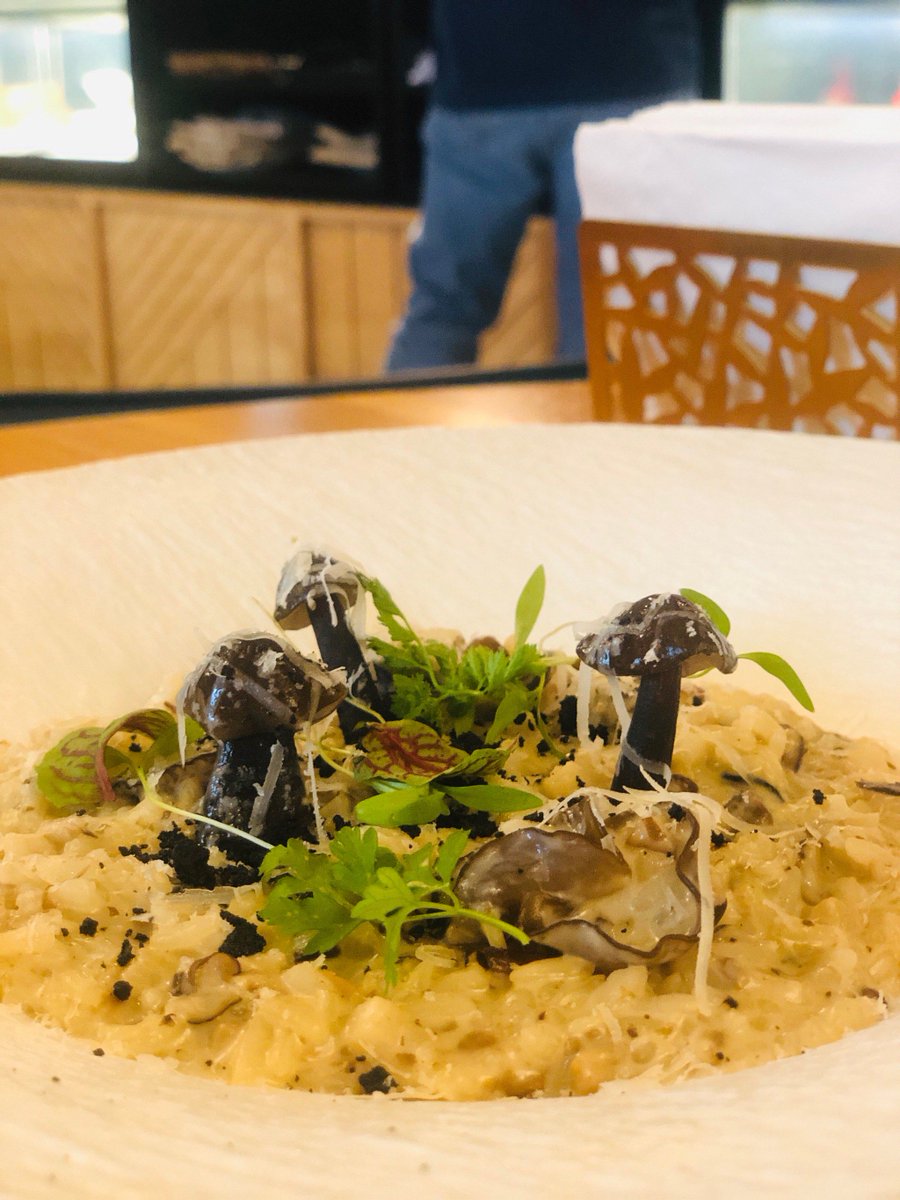 R0binsan's tweet photo. Just tried the truffle mushroom risotto at that new café downtown—creamy, fragrant, and perfectly al dente! Absolute game-changer for comfort food lovers. https://t.co/Q1syNnilt8