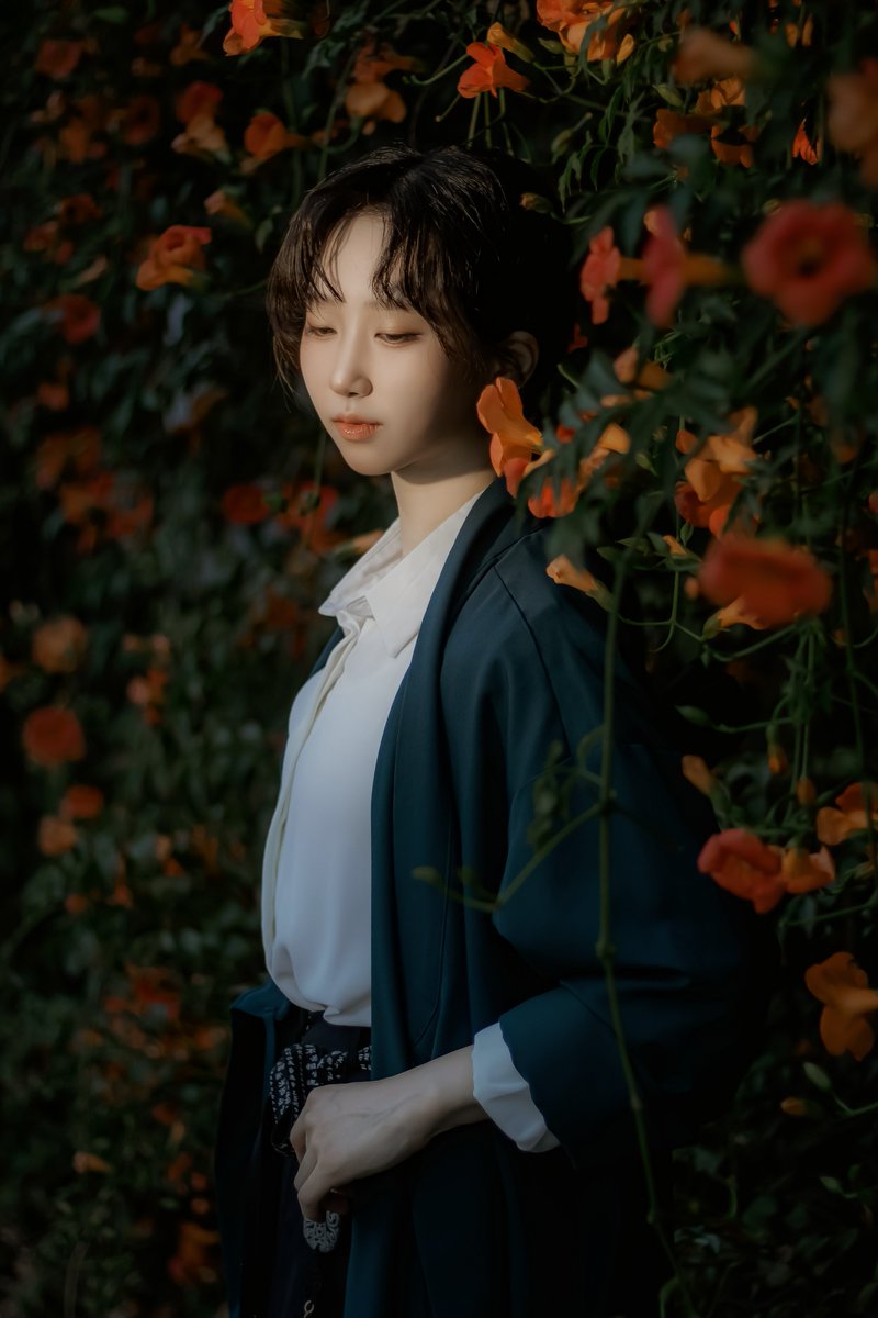 dacpire's tweet photo. 담벼락 너머 피어난 나의 여름, 凌霄花. 
(4/4)

p. @P_april_ https://t.co/y6OmF9eu2d