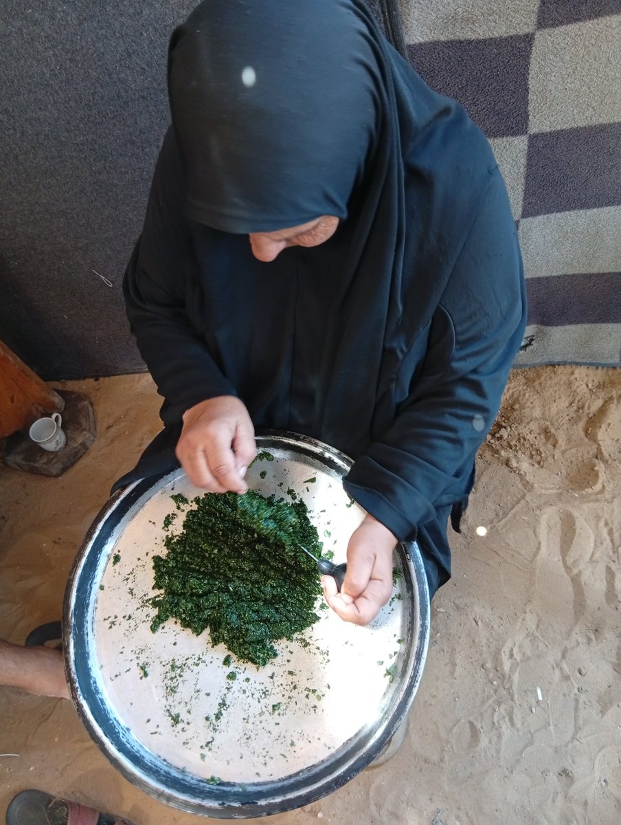 Ektemad89's tweet photo. 💔 It's been over a month since we received our last donation, and we have no food left. We urgently need your help. Just $50 is enough to provide us with food for 10 days. If you can donate or share our appeal, it would mean the world to us. 🙏🤍 https://t.co/oYpiMmPtLf