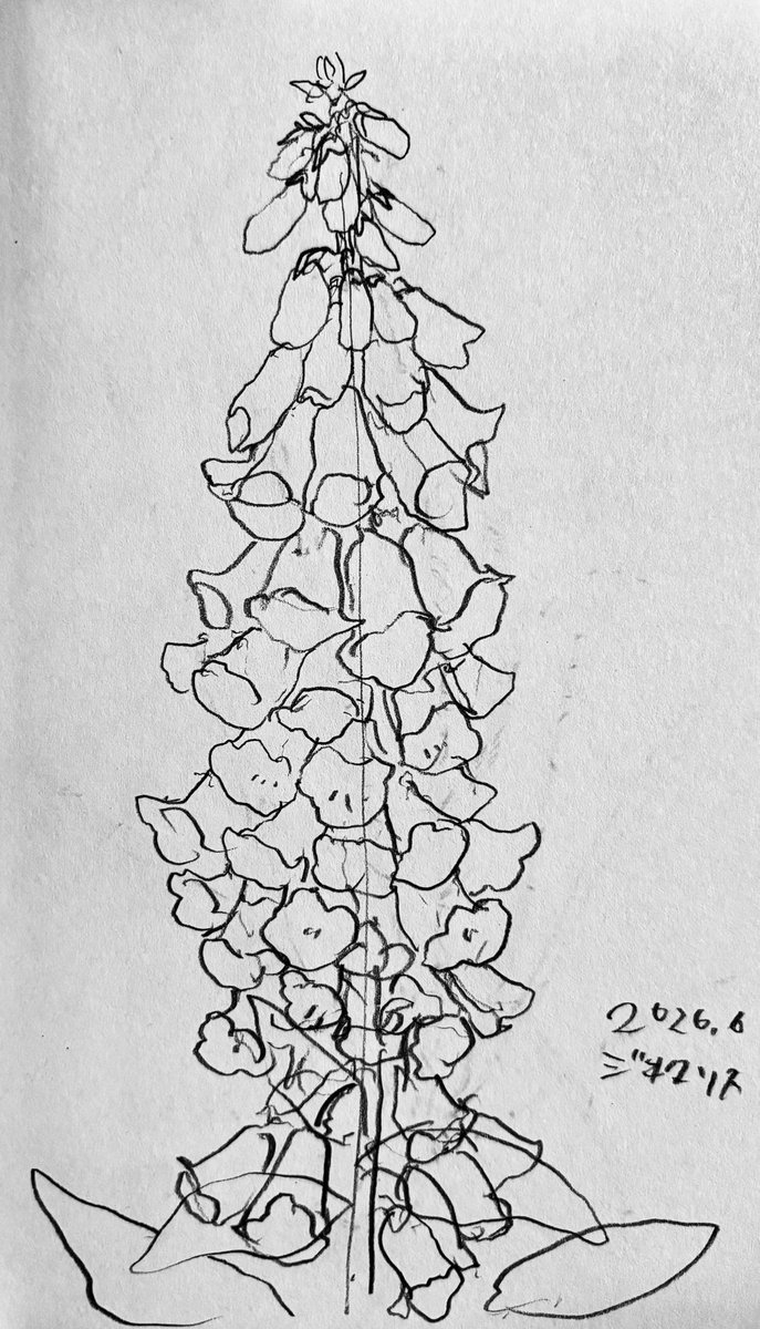 inoki_petrole's tweet photo. 植物スケッチ
やかましい狐の手袋

# 一日一絵 https://t.co/OHx9KiuzmO