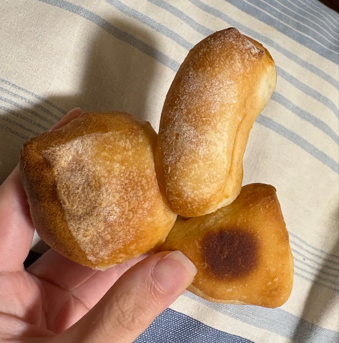 __919qq's tweet photo. フォカッチャが私の最近のブームなんだけど、今日食べた自然生成フォカッチャがあまりにもな形してた　全部くっついてるからね https://t.co/A2IxFB6k1e
