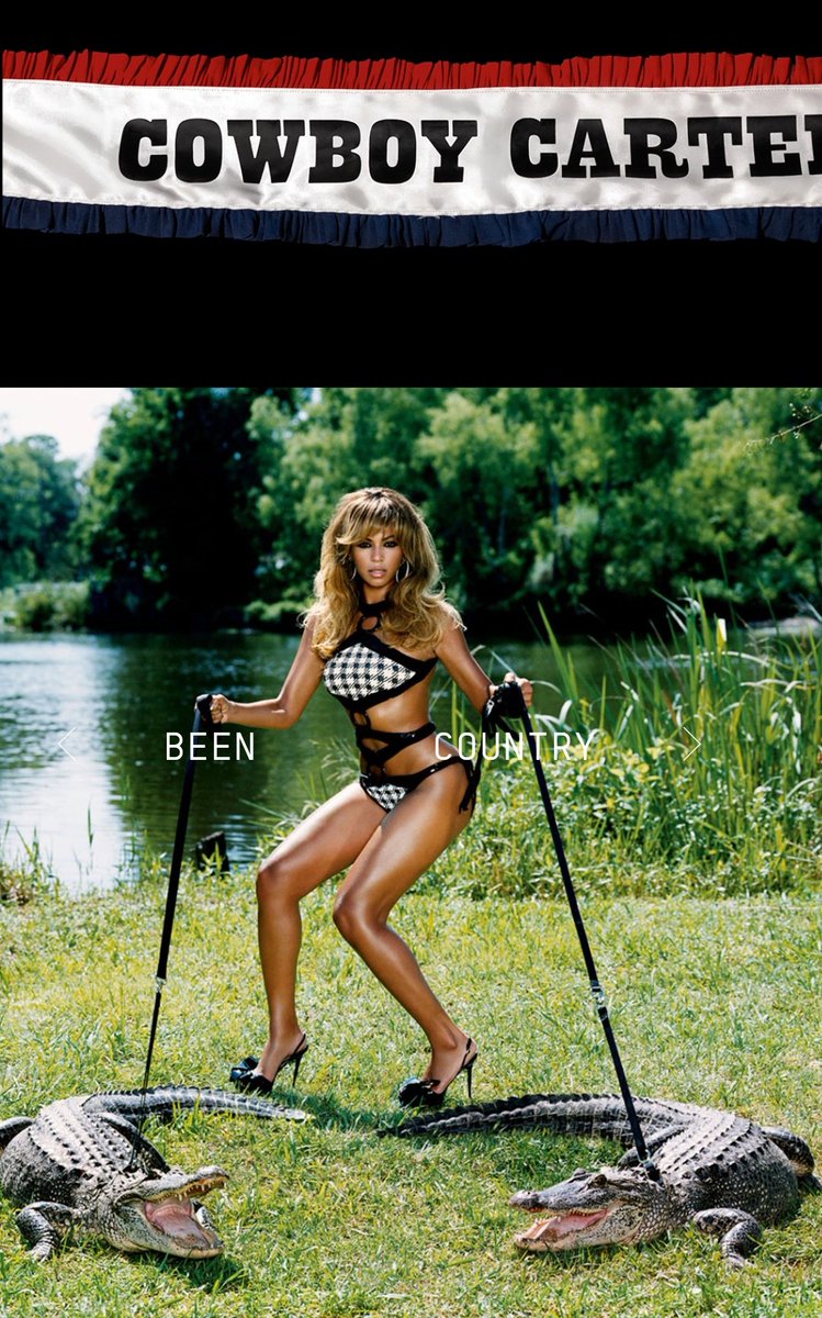beyoncepower4's tweet photo. It was always in her plans... https://t.co/yF7WsLHi3g