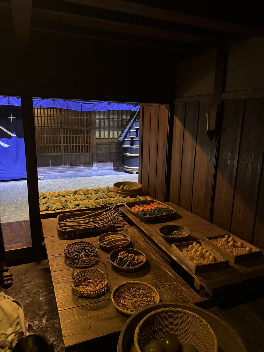 _snow___snow's tweet photo. 何度目かの深川江戸資料館、初めて友人と。みんな江戸の街並み再現が大好きな人達だったから、時間を忘れて楽しんだ。建物の中に入って、調度にも触れて、江戸時代のおにぎりスタイルの寿司と現代の寿司の比較サンプルもあって、これで400円は良心的すぎる。細かい設定もあり、妄想力逞しく楽しめた✨ https://t.co/Kj5olOcjF6