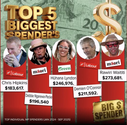NZMAGAMike's tweet photo. Context:These figures cover official MP support expenses (not personal spending).
Te Pāti Māori and opposition MPs dominate the top spots.
Total MP spending in this period was around $15 million across all MPs.
Critics (like the Taxpayers' Union) argue for more transparency, as line-by-line details are limited.