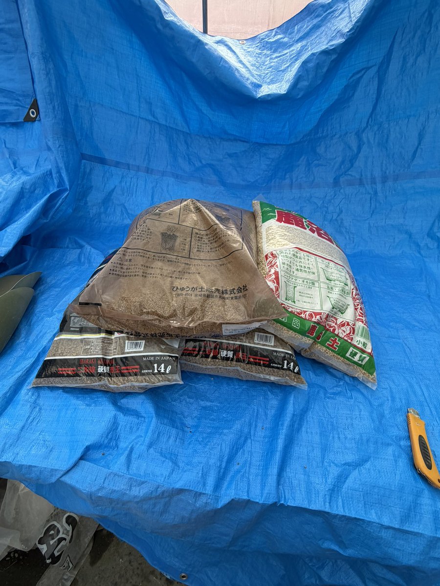 ceramistsurfer's tweet photo. ハウスの引越しの時に荷物になりそうやから減らしたかったけど減ってきたら不安で土作り😊
焼きそば作るみたいに両手で混ぜます☺️ https://t.co/gMw0NjbyUq