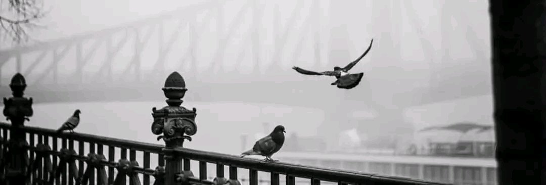 noor_phulpoto1's tweet photo. ہزاروں اچھائیوں کی کوئی رسید نہیں ہوتی، ایک غلطی کا پورا حساب رکھا جاتا ہے !🤍 https://t.co/ZLzmAYkyv4