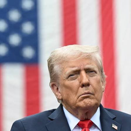 Republicans against Trump tweet media