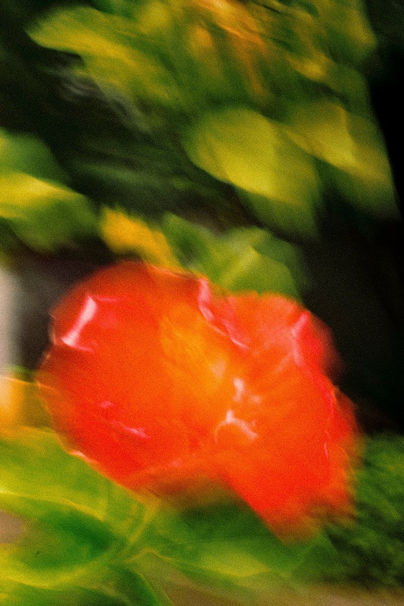 _rchives_'s tweet photo. Why should only Instagram see my art? Here are some photos I took twitter!!! https://t.co/POZSYZjt1I