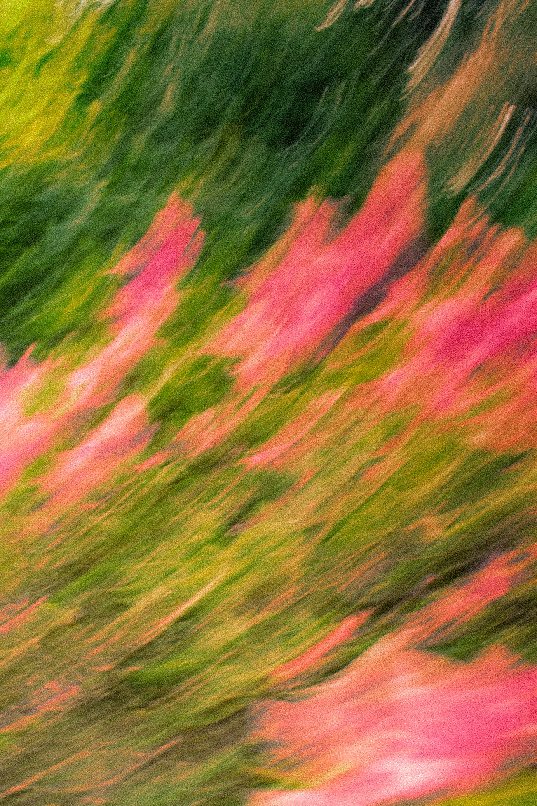_rchives_'s tweet photo. Why should only Instagram see my art? Here are some photos I took twitter!!! https://t.co/POZSYZjt1I