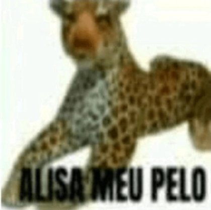 noaskz4's tweet photo. @fefewxzz rlx amor q agr é tudo exclusivo pra vc https://t.co/7t77kL6znm