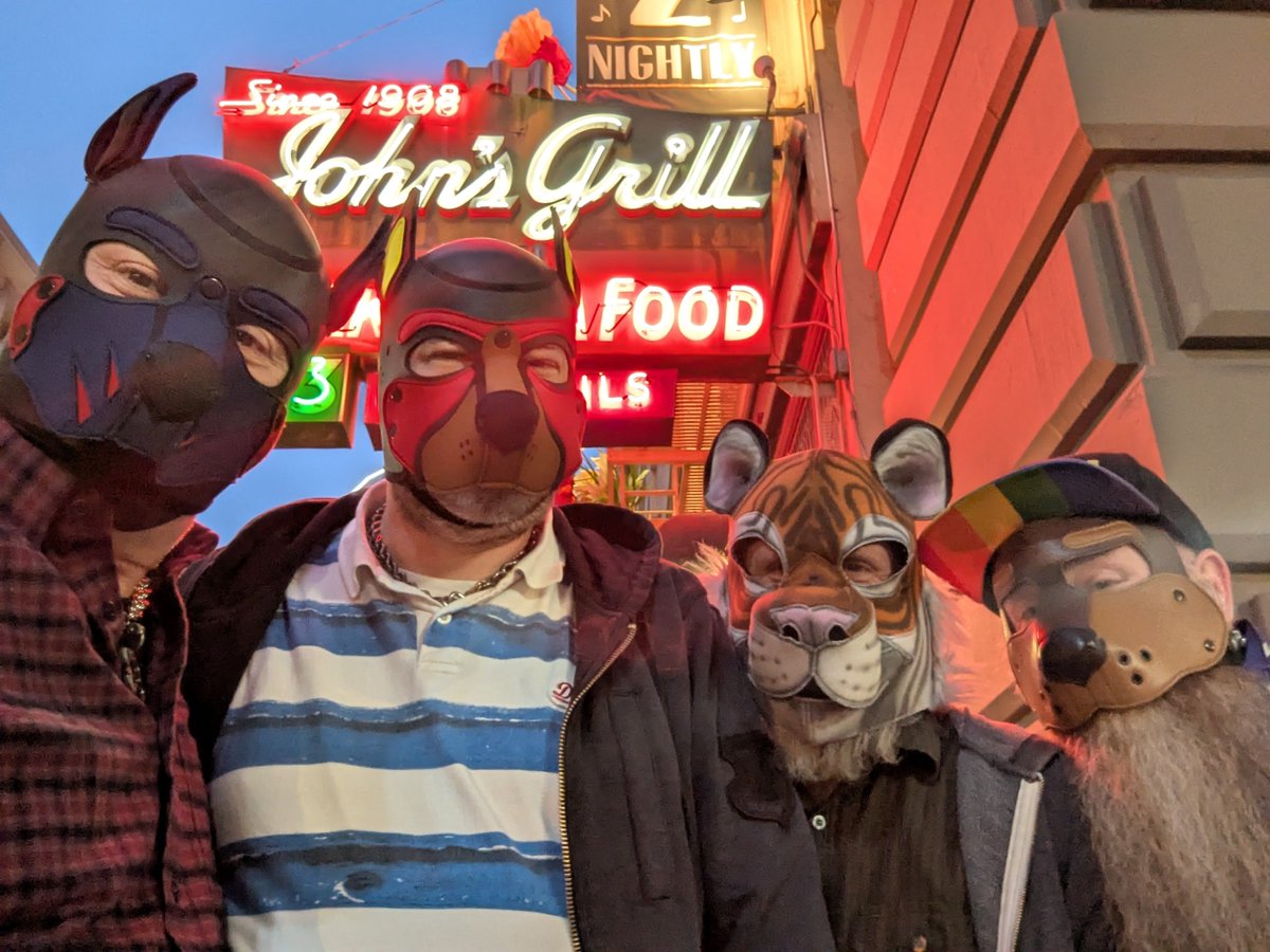 Bouncerthepup's tweet photo. Celebrating @bengal0 last weekend in SF with @dozerpup and Tyr. It was a delightful weekend. So many naps https://t.co/2H5UecIDlO