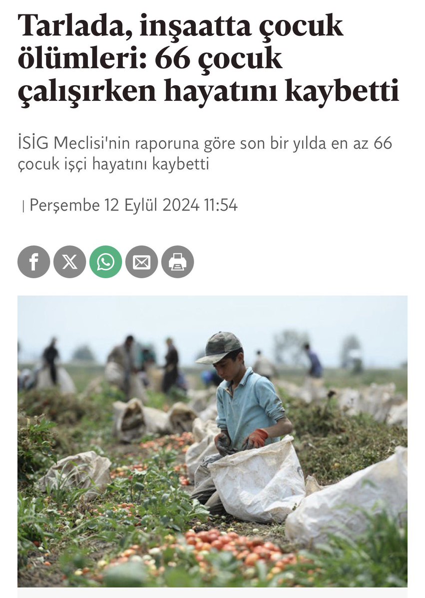 solmudahale's tweet photo. Türk yazı. https://t.co/RYJGUjHjCm