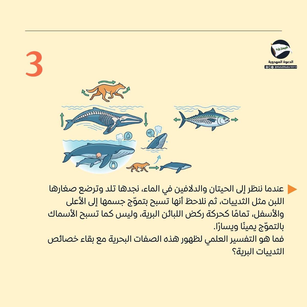 Suehilaski's tweet photo. يفترض بعض الفقهاء أن نظرية التطور تقول أنّ الأعضاء المعقّدة – كالعين – وجدت بطفرة واحدة.

للإجابة و المزيد راجع كتاب وهم الإلحاد
للسيد #أحمدالحسن (ع )وصي ورسول من الإمام المهدي(ع)

و للمناقشة راجع الرابط الموجود في بايو حسابي #الدعوة_المهدوية https://t.co/qMdrswReg9