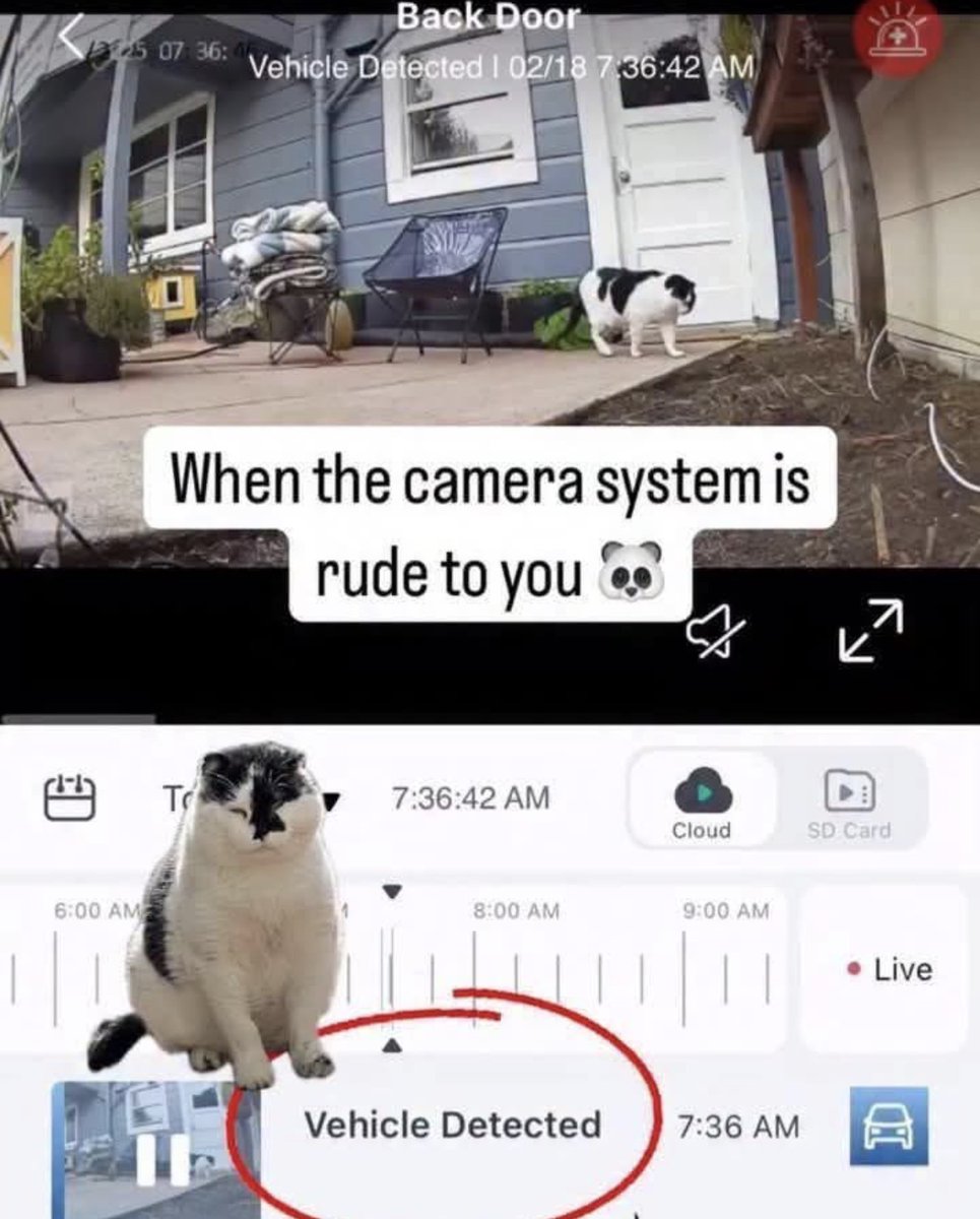 RespectfulMemes's tweet photo. https://t.co/99eEWsVmGi