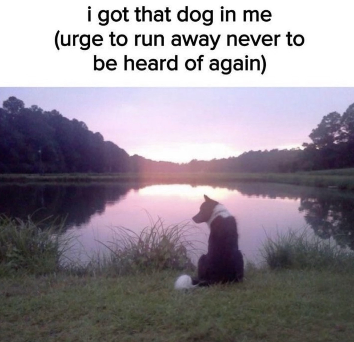 RespectfulMemes's tweet photo. https://t.co/Uqg4vVR6fF