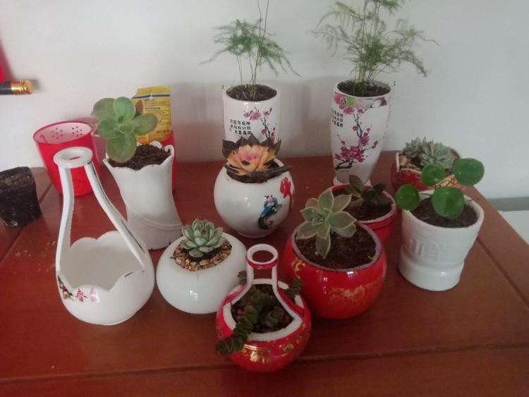 qwaszxedc12345's tweet photo. Got an old mason jar Turn it into a cute succulent planter with just acrylic paint and hot glue—super easy weekend DIY that adds fresh vibes to any desk!， https://t.co/GhPSymFKVl