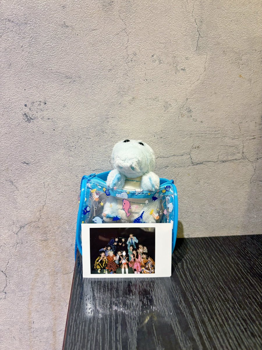 MONKER_0v0_ASP's tweet photo. 前日に新潟行き決めて行けてよかった！😭🤍
楽しい！が過ぎた(๑>؂<๑)♡

#ギャンパレ新潟 https://t.co/JCEL8sSXUb