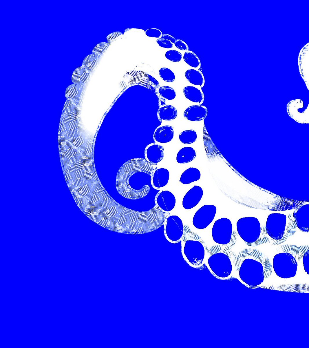 oboredani114's tweet photo. 過去絵
繋がって見えるのではないでしょうか🐙 https://t.co/wvG8vMCcWN