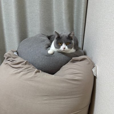 dq_abc's tweet photo. #新しいプロフィール画像 https://t.co/cCSnHWzaCu