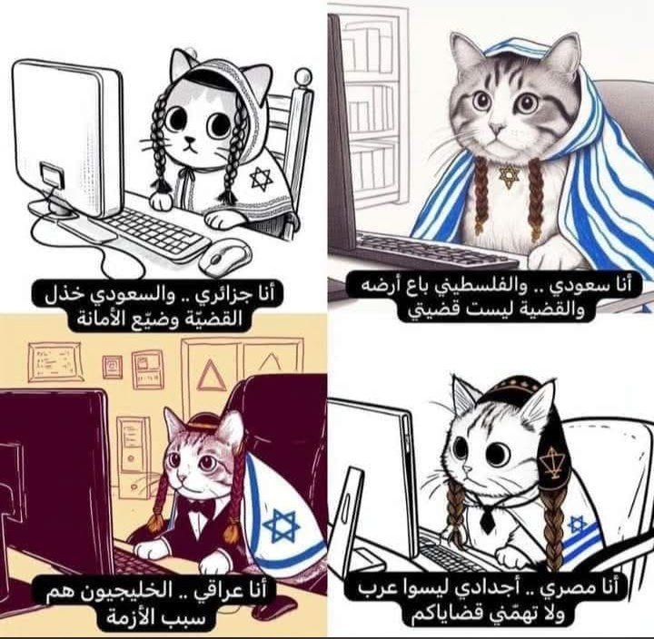 Mcbrahim's tweet photo. @Chocolacho5 ريفية من وجدة!! سكت الصهيوني دمك ما تصور غي الكبال! فكرك طبعا. https://t.co/aEfxh1tQ2u