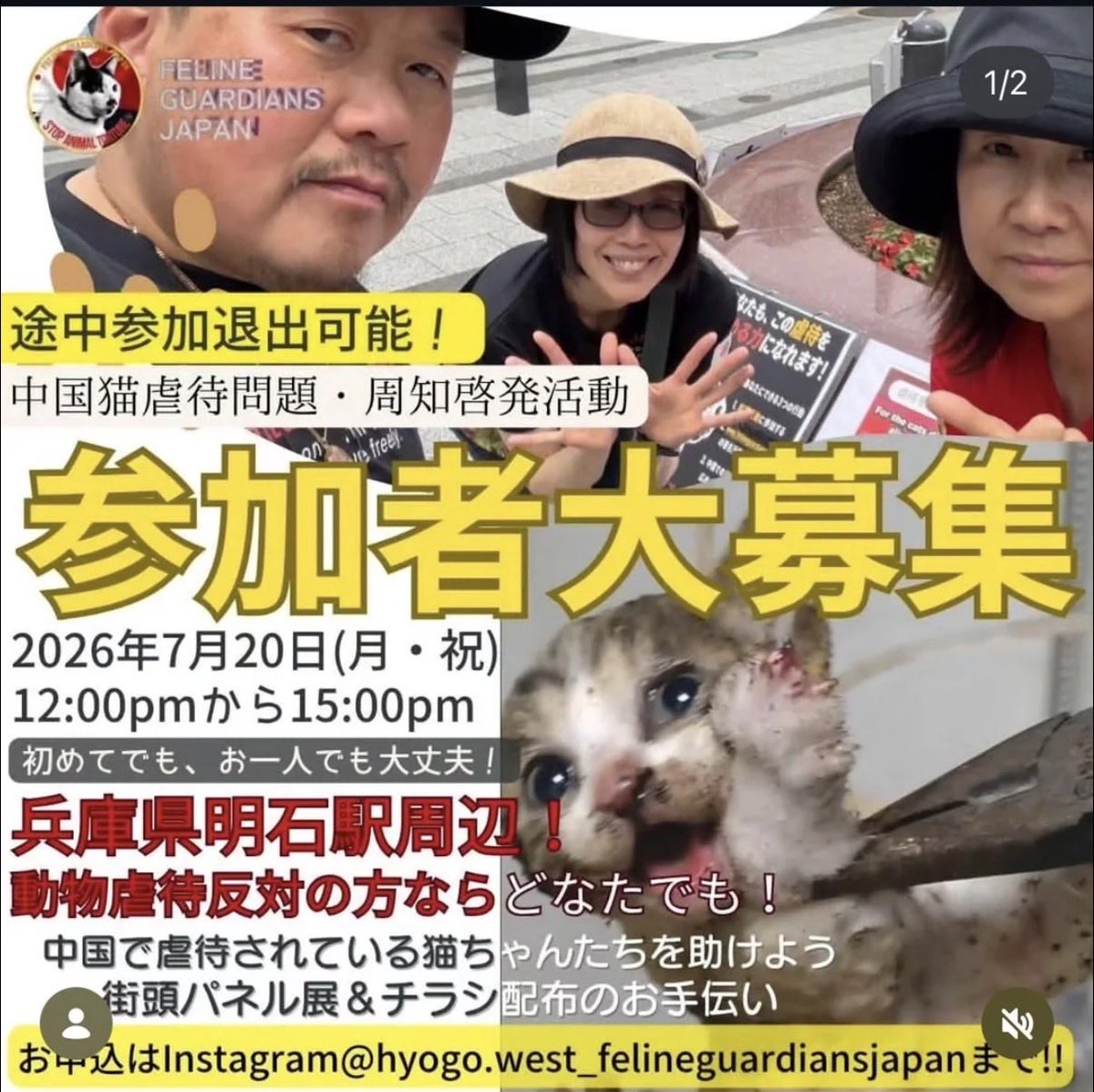 我当刚强壮胆 tweet media