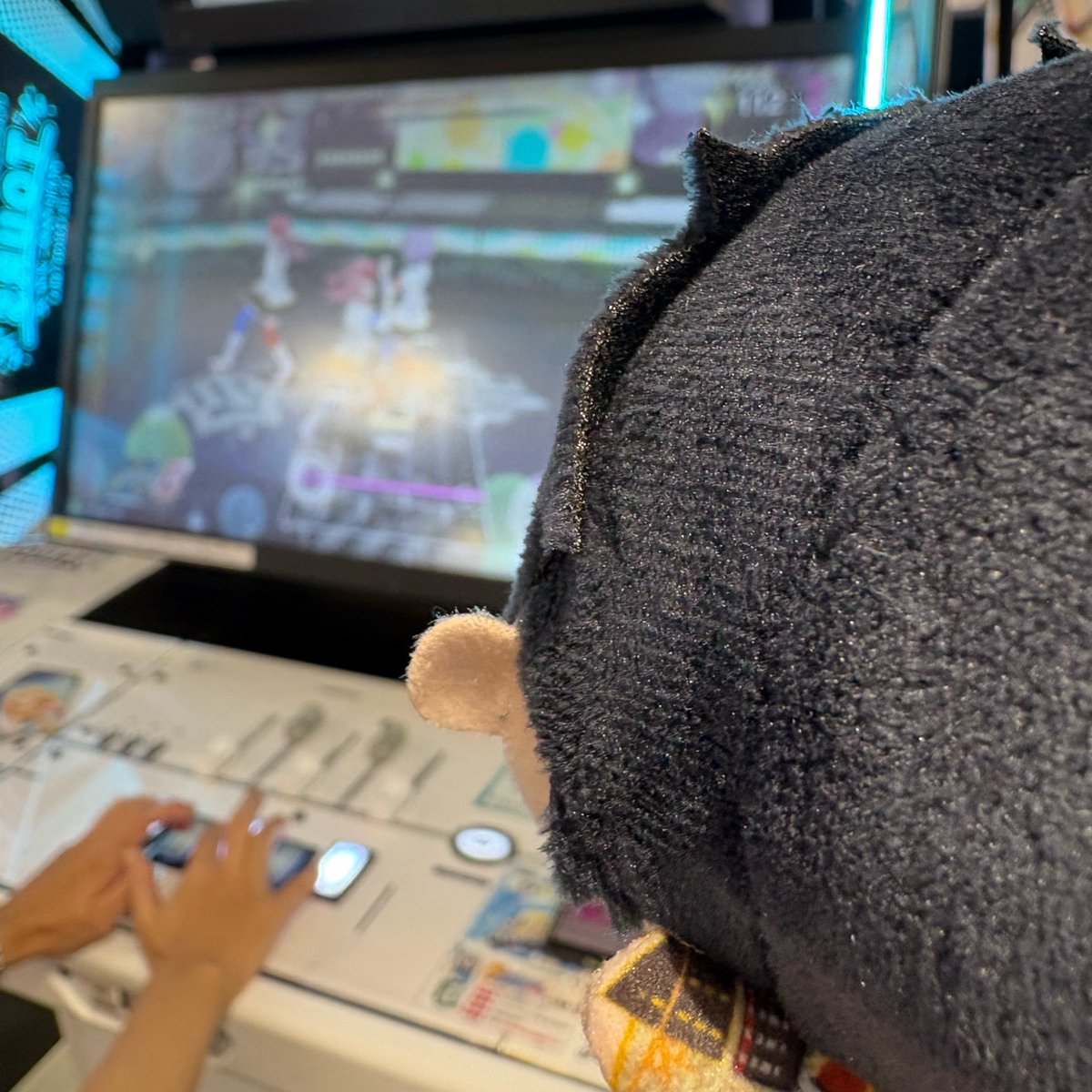 sunshine_iris_'s tweet photo. これはすていじを見てるちびこてちゃん
無事こてちもスカウト出来てhappy……… https://t.co/FhLmu6zNsd