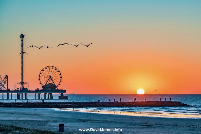 SaltyDGalveston's tweet photo. Come stay in Galveston ON THE BEACH before the summer is over.

Book before it's gone... 

https://t.co/IAv6zfGJZx https://t.co/isZw7BHkgL