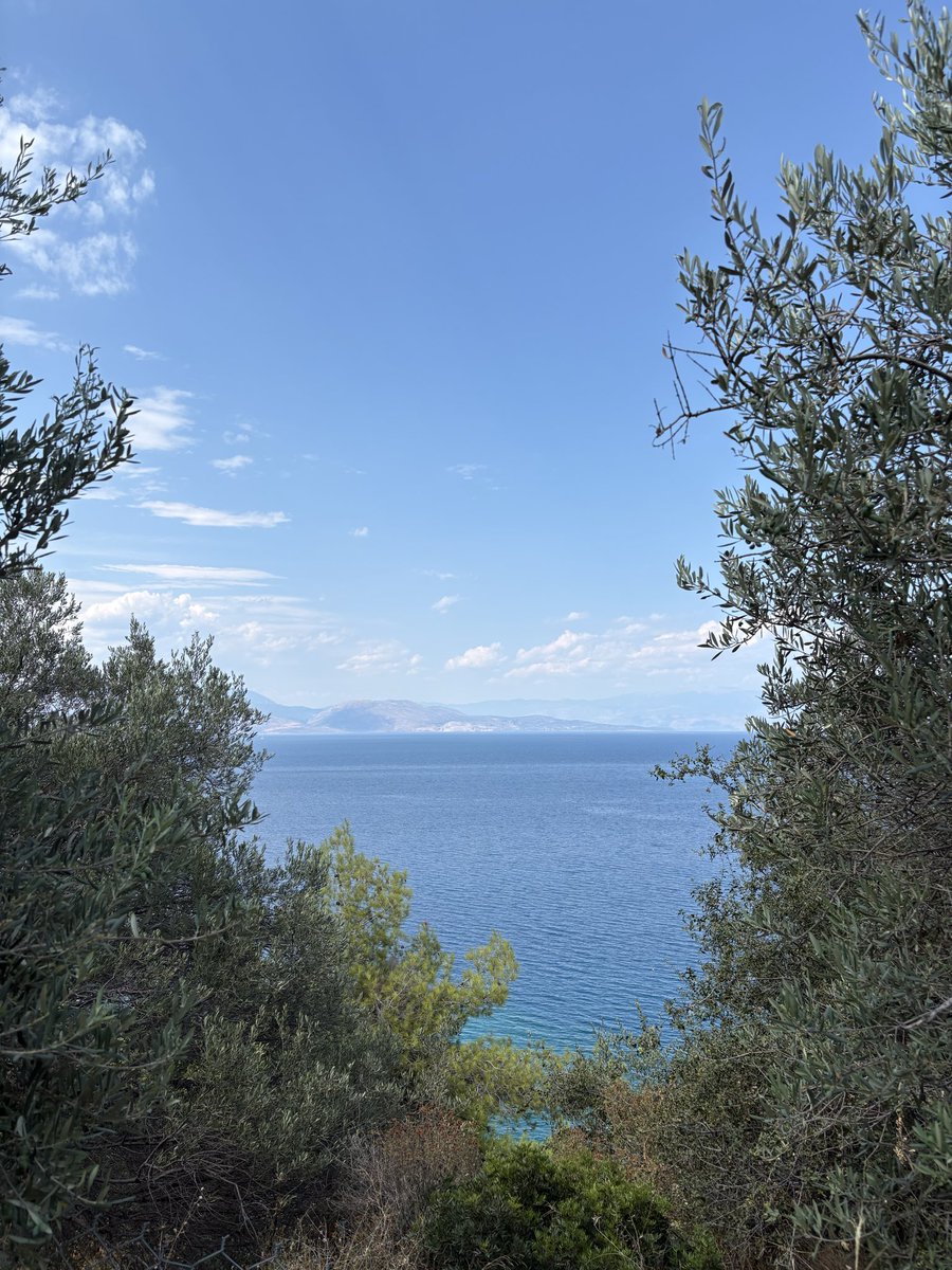 Dimitris Papailiopoulos tweet media