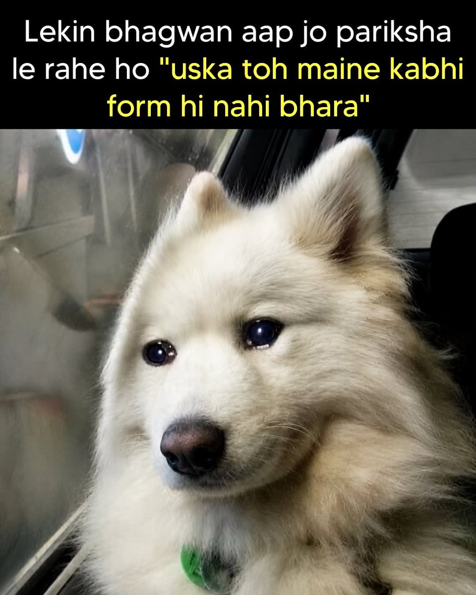 InkOfAbhi's tweet photo. True… bina from aur admit card ke pariksha kaise https://t.co/zLrtkLxd59