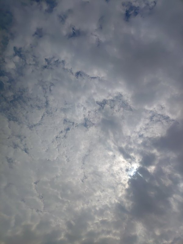 こちらも今日の空を撮影した写真です。鱗雲っぽい形の雲でありましたし