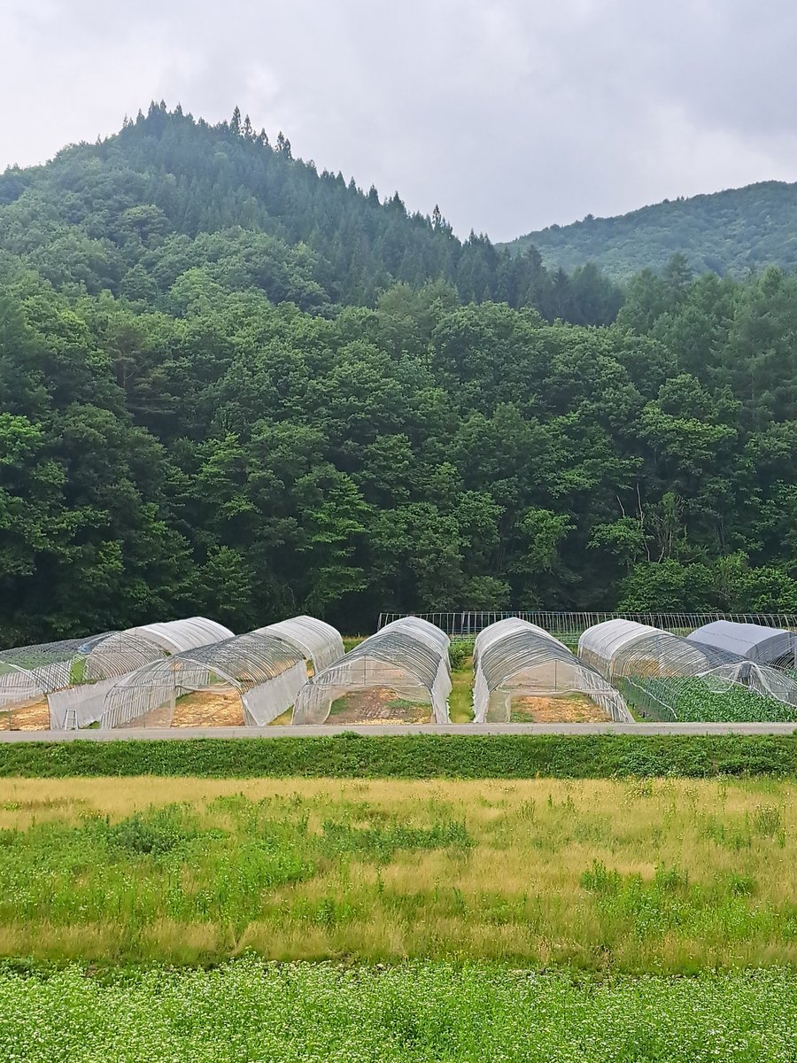 mumaya_shokawa's tweet photo. ⚠️☠️この山奥に必要の無い産業廃棄物処分場を建設中の富山県富山市㈱アルト☠️‼️⚠世界遺産白川郷の上流にある貴重な水源地六厩が、いま危機にさらされています。アスベストや水銀などの有害物質を埋め立て可能な産業廃棄物処分場の建設を計画‼️この場所は白川郷を経て富山湾へと流れる清らかな庄川の源 https://t.co/dnwDyXZWAa