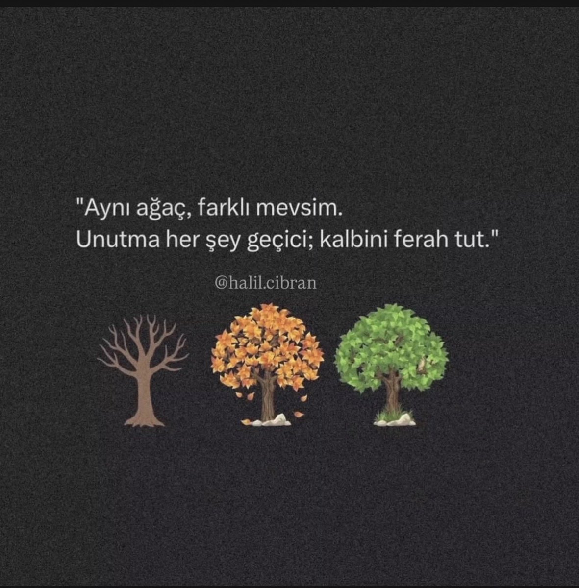 kivrak_sevim's tweet photo. https://t.co/v7MVtmIZj7