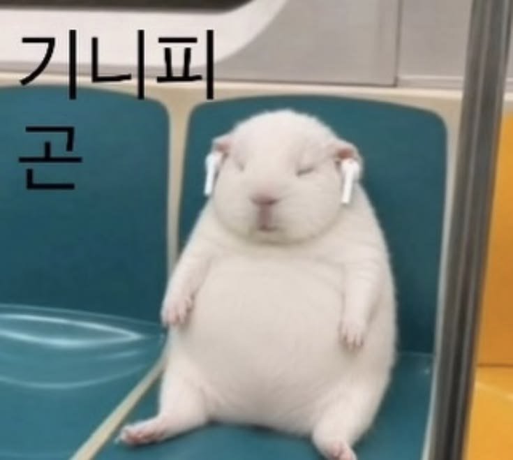 mumu0180's tweet photo. 할거개많아
나.괴물도 해야되고 턀주도해야되고
베2랑도해야되고 디.피도해야돼 https://t.co/2rG8GjkCUn