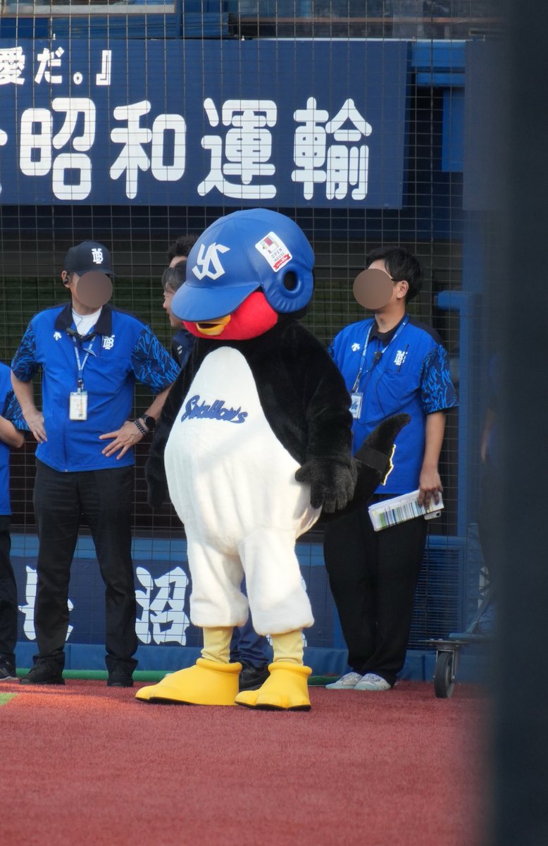 komaco_db's tweet photo. 昨日の（負け）試合のハイライトを観るのを拒否するつば九郎先生

#つば九郎 #swallows https://t.co/P6YTrw42Qi