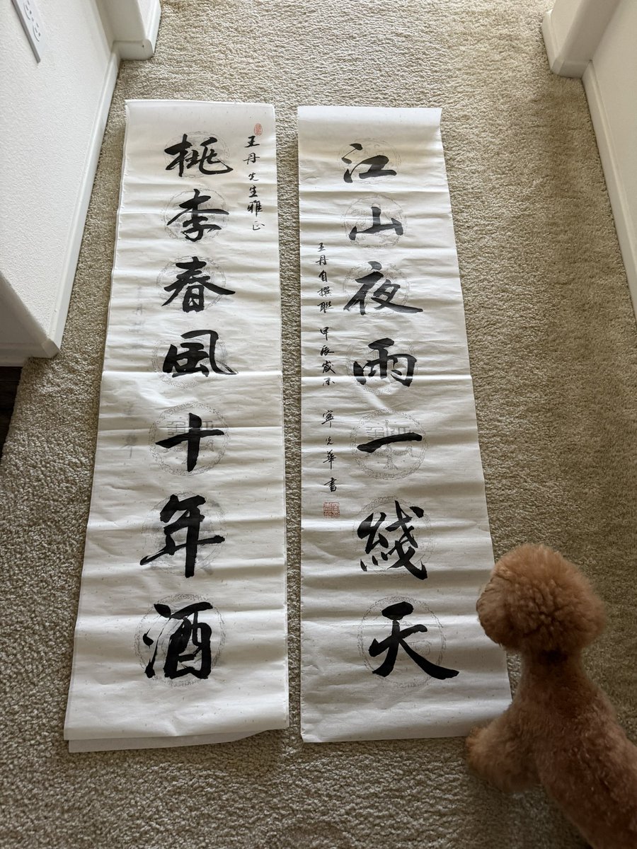 王丹 王丹(@wangdan1989) / Posts / X