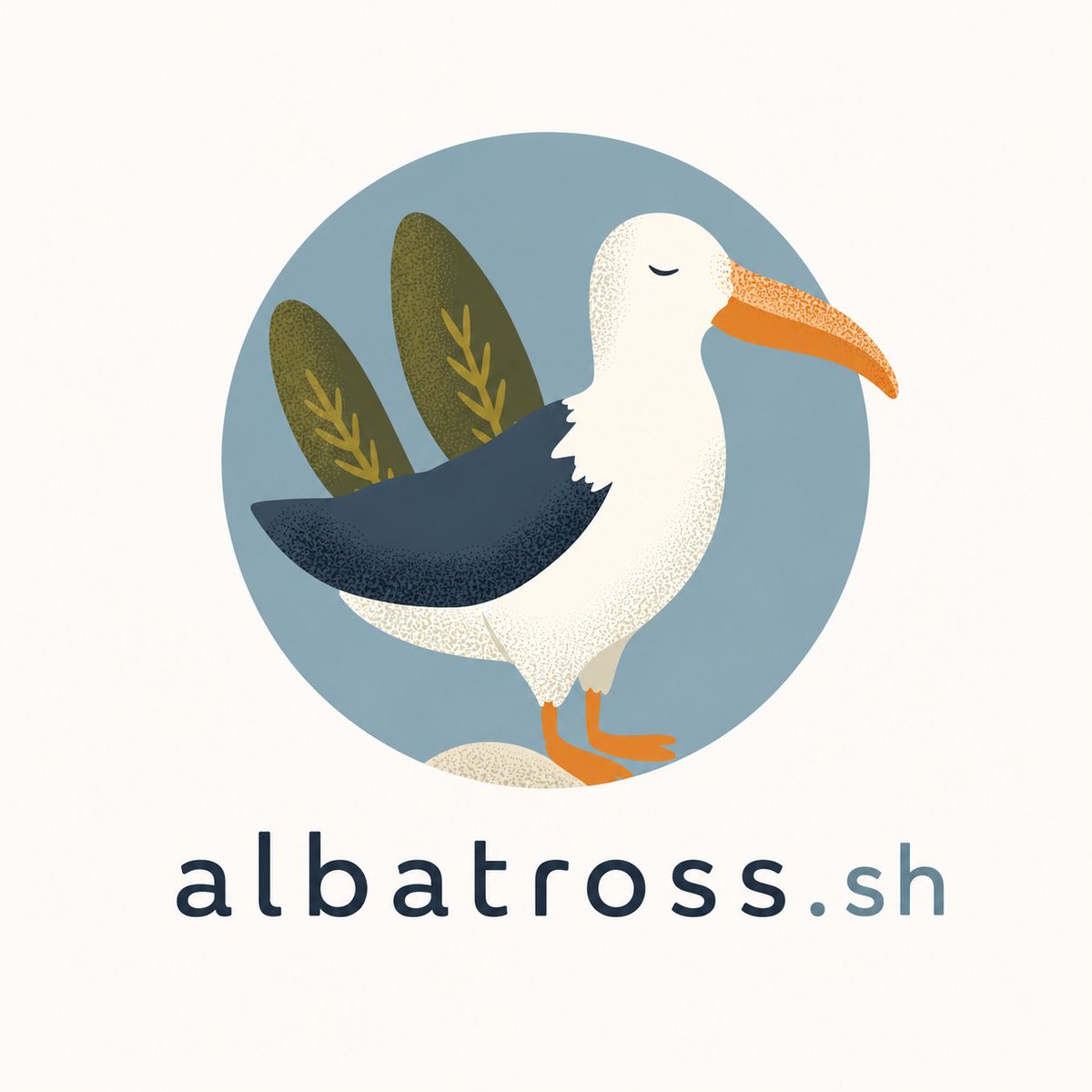 AlbatrossCoding tweet picture