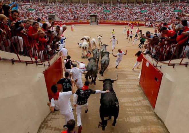 DiazAgustinj's tweet photo. @CCFRDE2 Que te molesta que la gente esté feliz y festejando por un partido de fútbol? Ustedes festejan maltratar a un animal indefenso y gritan “olé” como unos pelotudos. Pedazo de gallego culo roto. https://t.co/4an4hzraTE