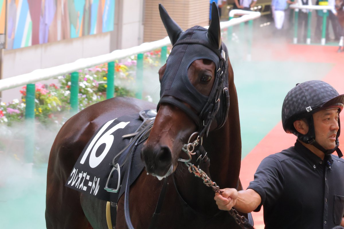nop_rr29's tweet photo. 2026/07/19
福島 9R 南相馬特別
♡クレオズニードル♡野中悠太郎騎手
 #クレオズニードル
 #野中悠太郎 騎手 https://t.co/Y6EZ5dIAYx