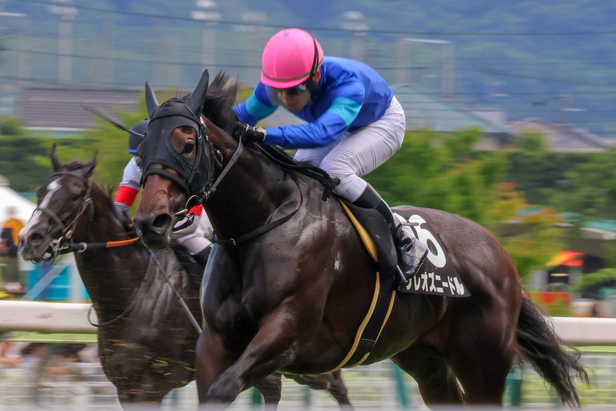 nop_rr29's tweet photo. 2026/07/19
福島 9R 南相馬特別
♡クレオズニードル♡野中悠太郎騎手
 #クレオズニードル
 #野中悠太郎 騎手 https://t.co/Y6EZ5dIAYx