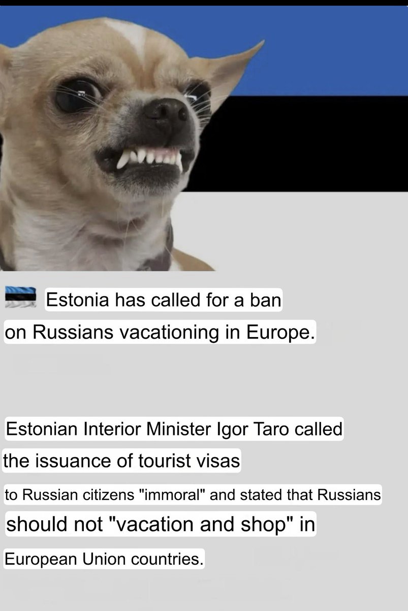 SororInimicorum's tweet photo. Finland and #Estonia (use 🔍 when trying to find it on the map )are two mosquito paradise swamps, where the only tourists were the Russians. No Russians, no tourism – simple. #NazisThenNazisNow #BalticChihuahuas #Ukraine #EuroVomitorium https://t.co/0jT3IFhWw8