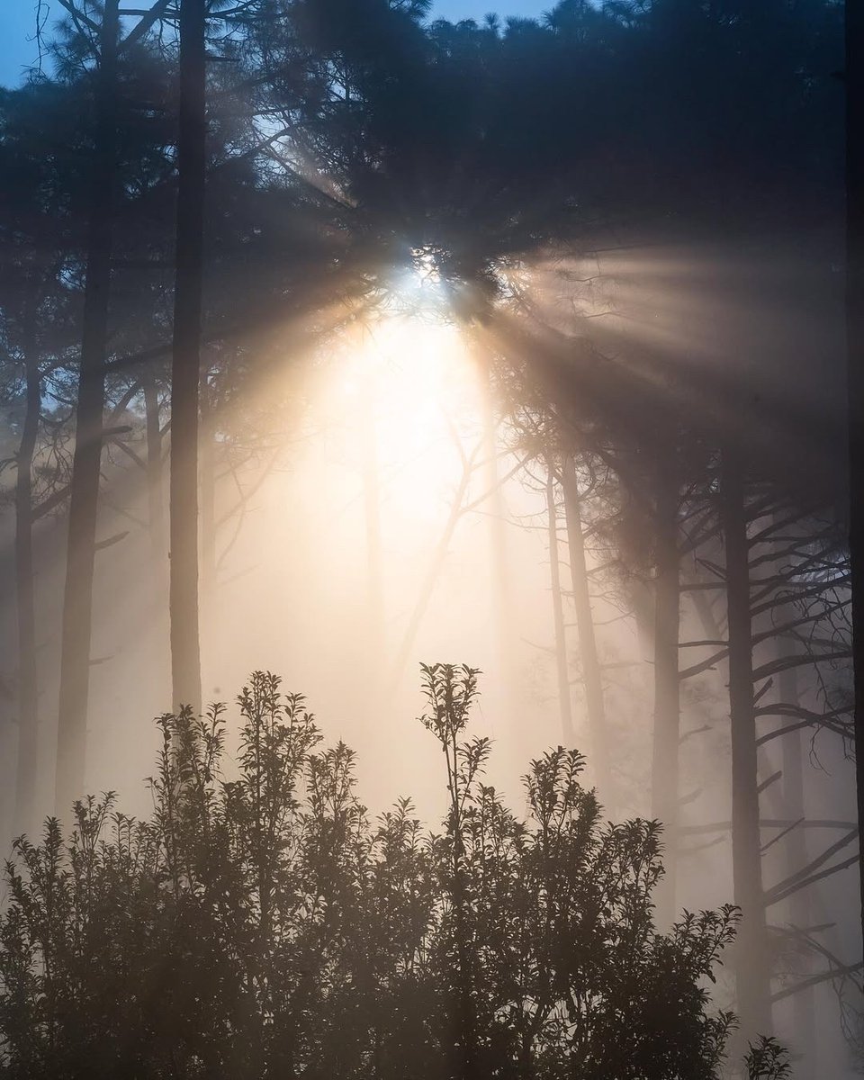 Lunathecookie1's tweet photo. New to photography Start with these: master exposure triangle (aperture, shutter speed, ISO), shoot daily moments, and don’t fear blurry first shots—practice makes perfect! https://t.co/X1heeo5ztx