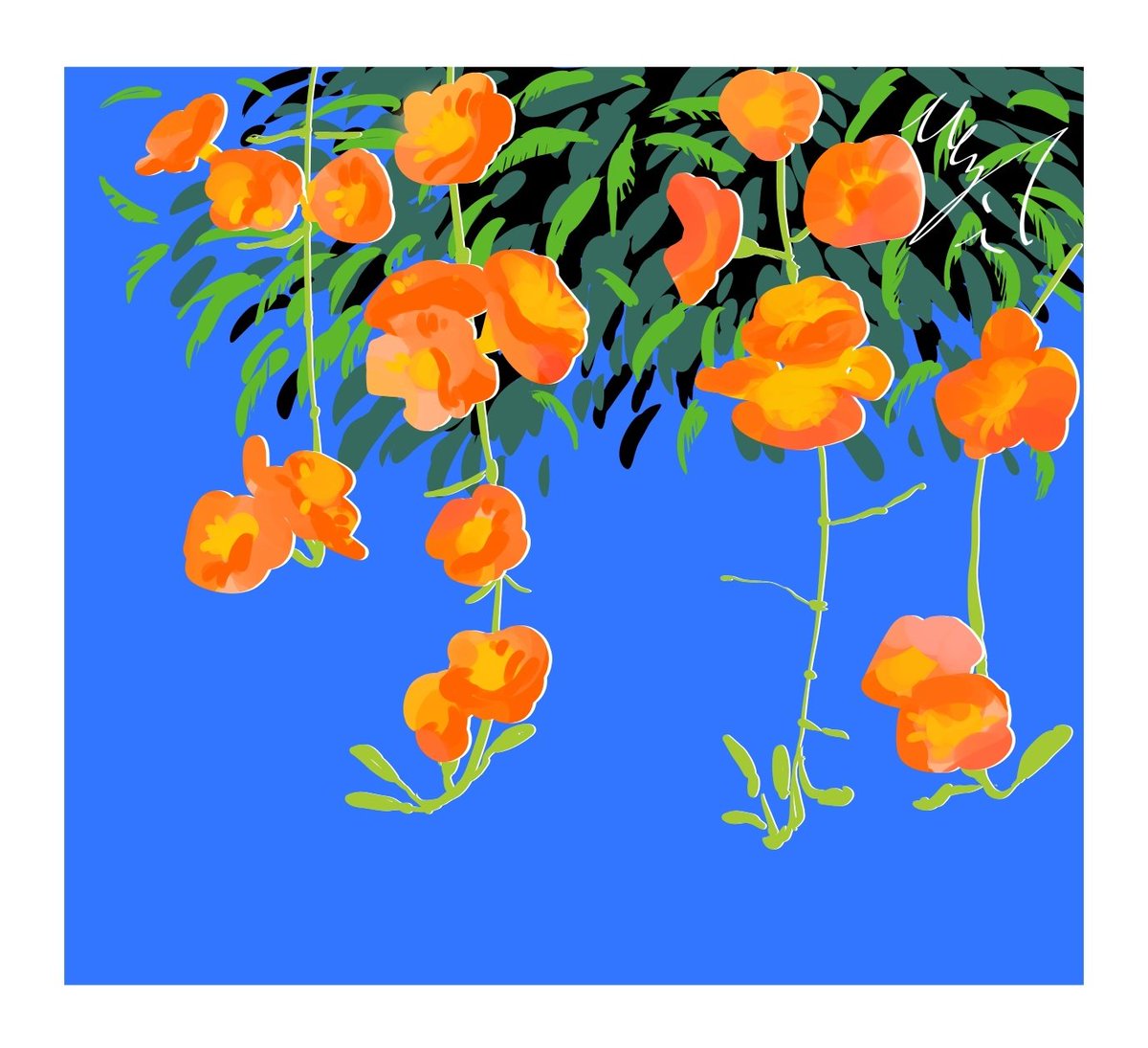 これは母に頼まれて描いた暑中見舞い🏵️