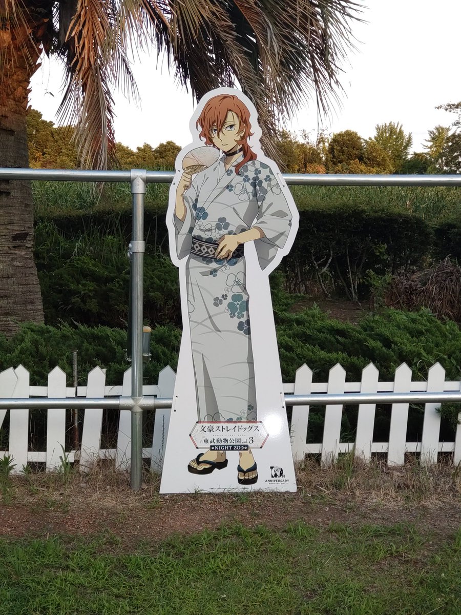 midoriko10's tweet photo. 言うて私みたいな「折角来たし美しい動物見たいなぁうろうろ〜」を普通にやろうとするタイプでなければ大丈夫かとは…皆様レストランで楽しく涼んでたと思うので。程良いエアコン休憩と、遮光遮熱と、氷水（というか氷）の適切な摂取がお勧めです。
流石に明日のベランダ作業は止める。連日はあかん。 https://t.co/8lf0xuTNWK